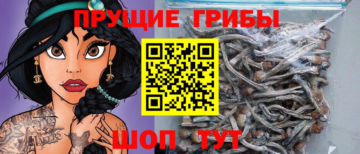 Псилоцибиновые грибы мицелий Калуга