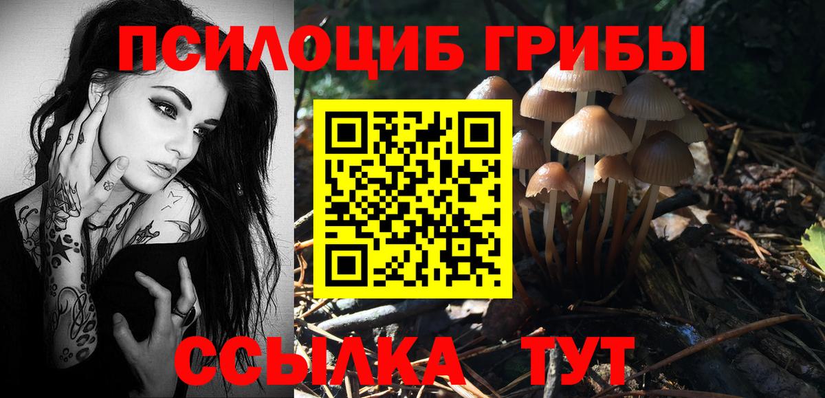 Галлюциногенные грибы мухоморы  Вход с VPN  Калуга  Псилоцибиновые грибы мицелий 